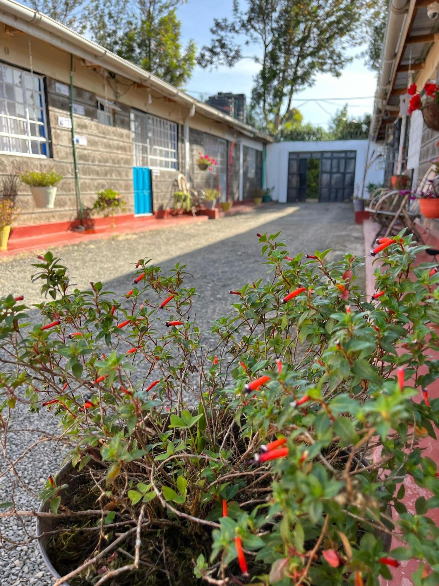 ホテル Rafiki House ナニュキ エクステリア 写真