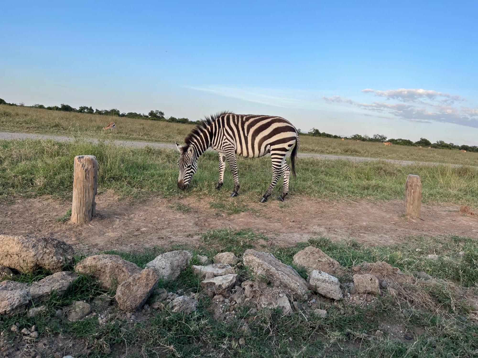 ホテル Rafiki House ナニュキ エクステリア 写真