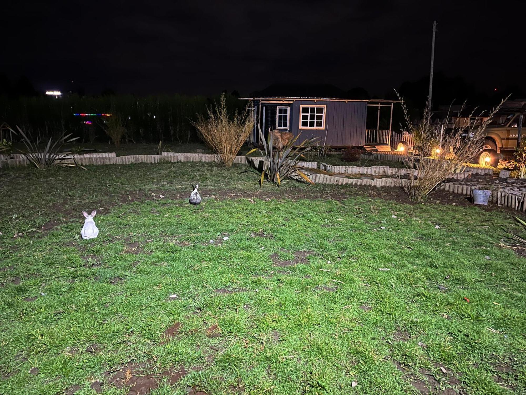 ホテル Rafiki House ナニュキ エクステリア 写真